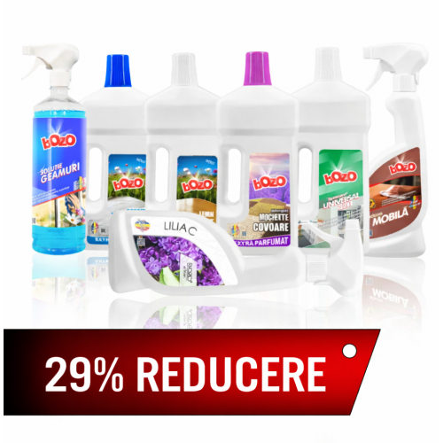 Pachete PROMO - Curatenie generala