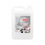Detergent obiecte sanitare 5Kg Detergent obiecte sanitare 5Kg